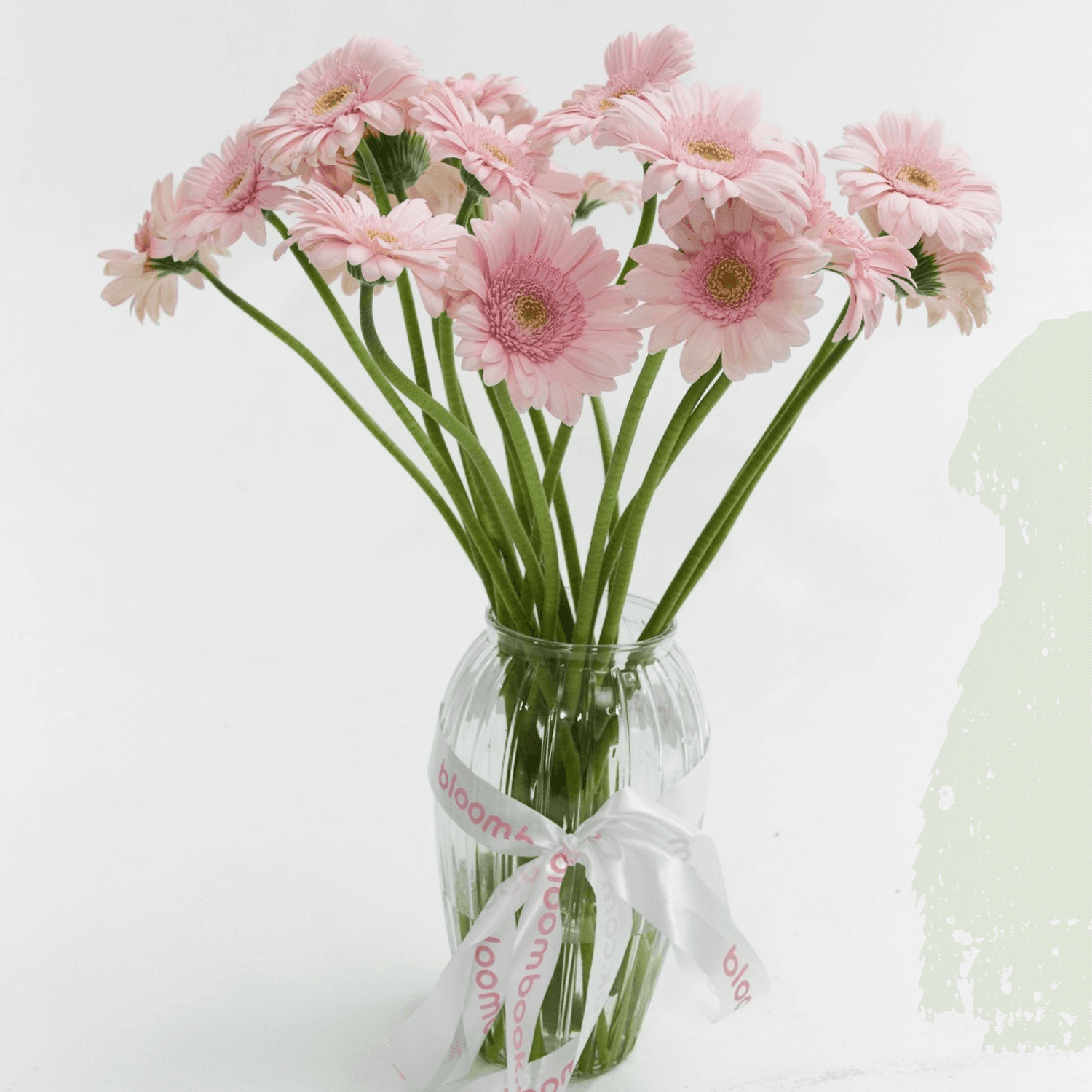 20 mini Gerberas Rosas en Florero