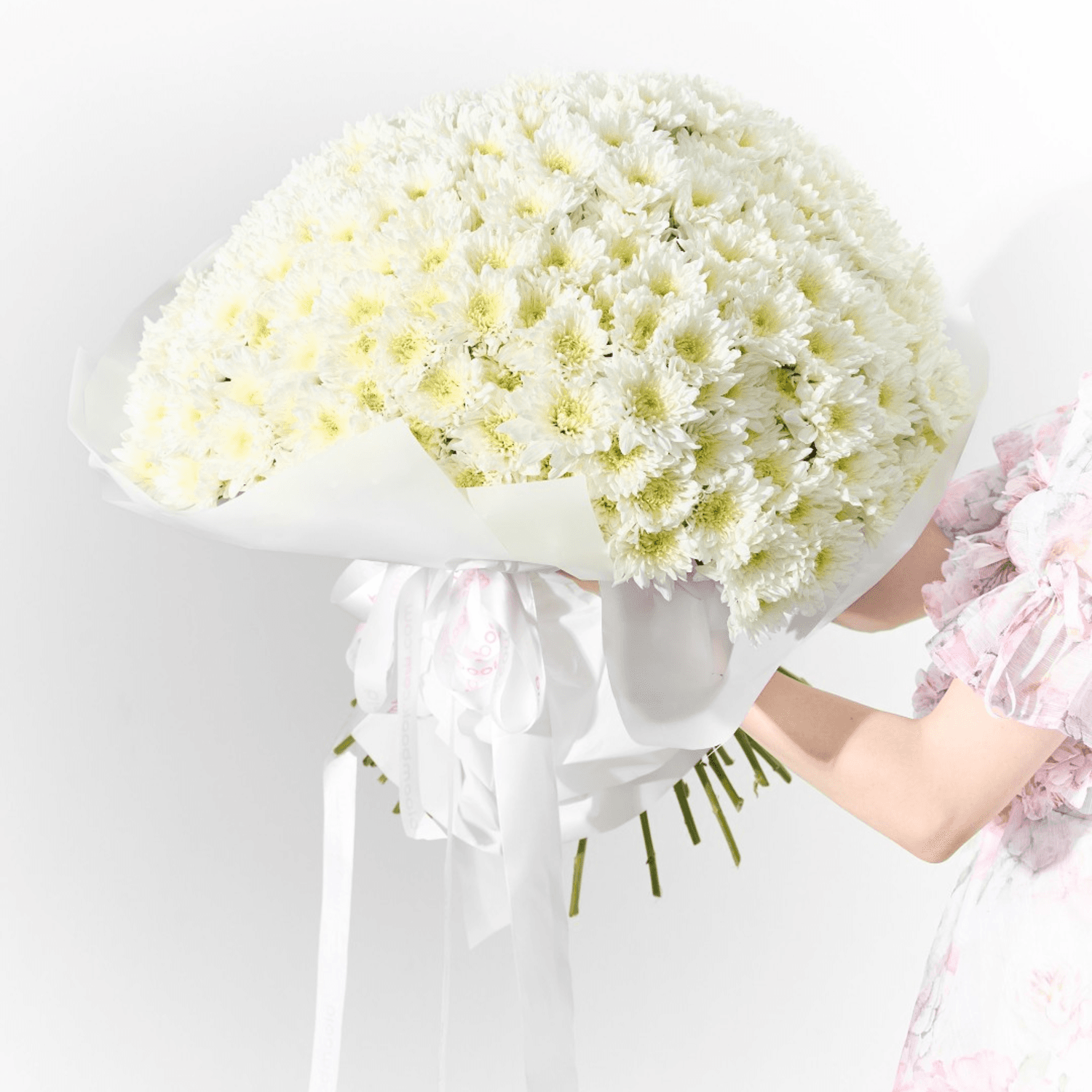 50 White Chrysanthemums Bouquet XXL – Flower Delivery